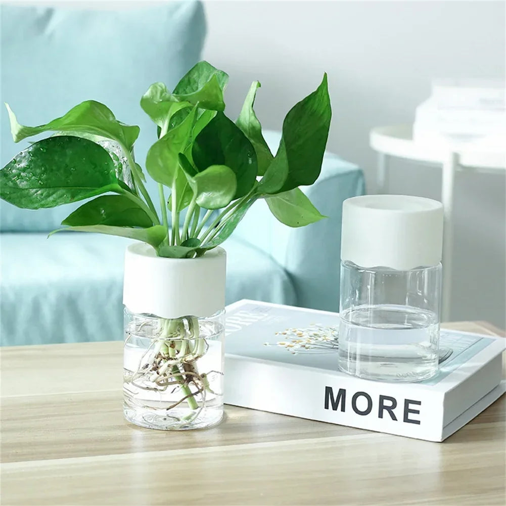 Decorative pot for plants without soil