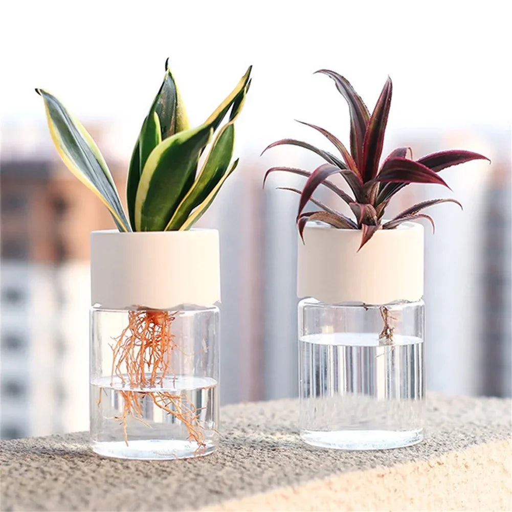 Decorative pot for plants without soil