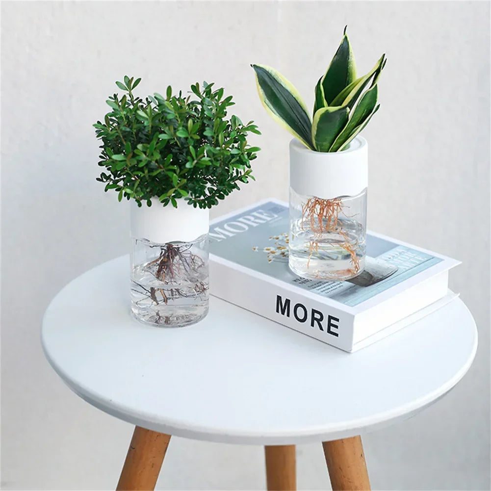 Decorative pot for plants without soil